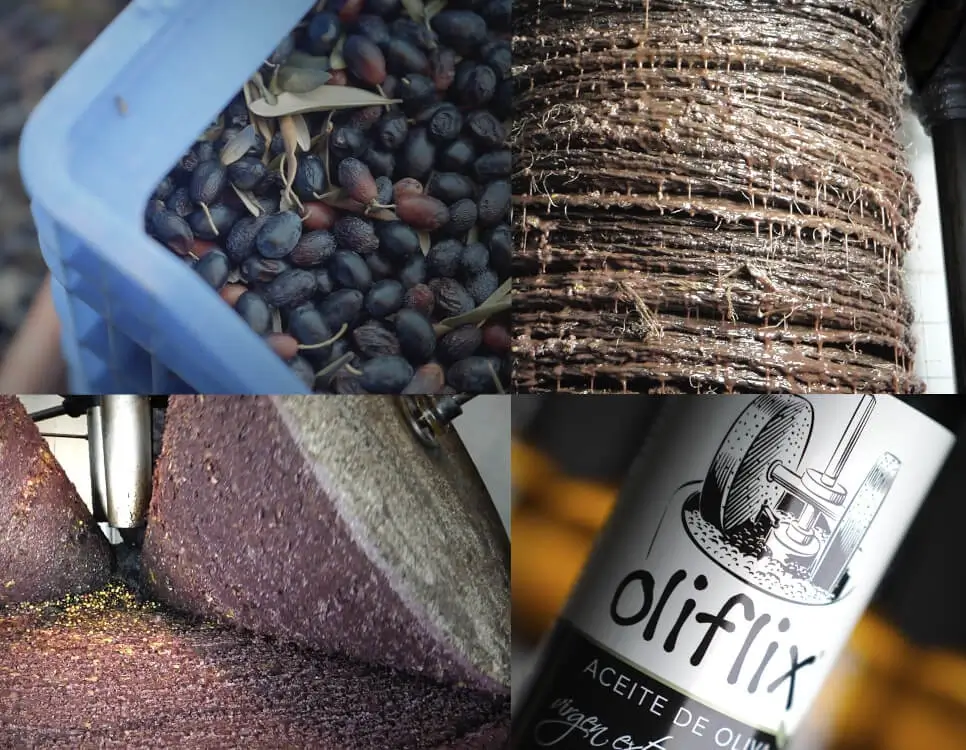 olives, carpachos, mill, bottles